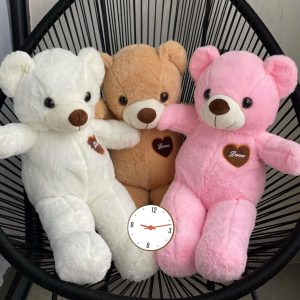 60cm Teddy Bear